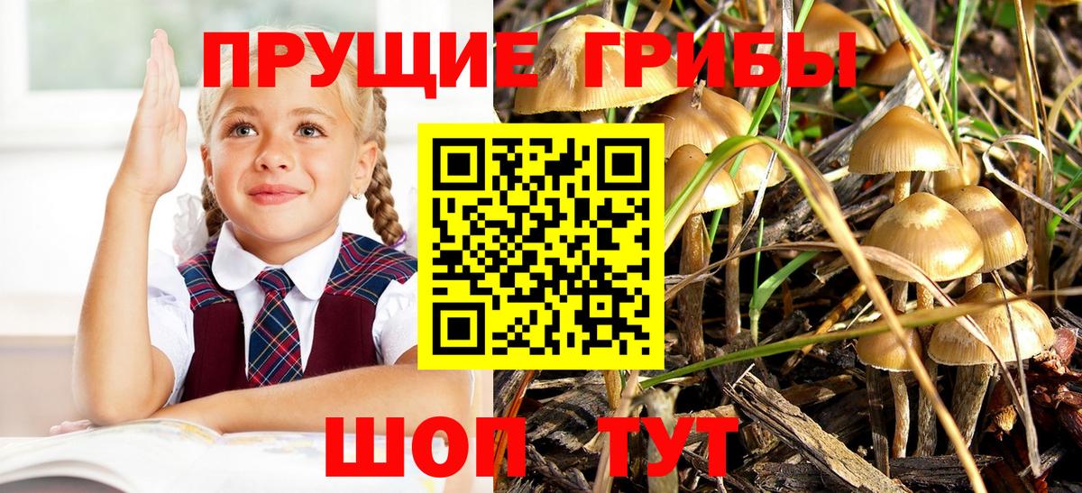 Галлюциногенные грибы GOLDEN TEACHER Канаш