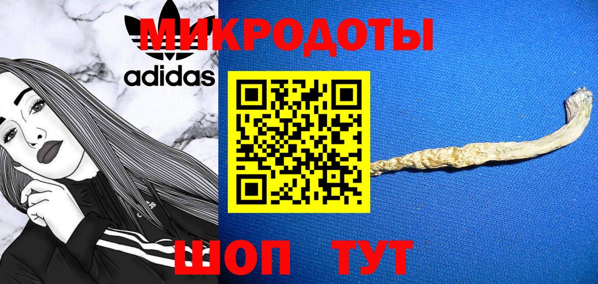Канаш  Галлюциногенные грибы Psilocybine cubensis  Псилоцибиновые грибы Psilocybine cubensis  Вход с VPN 